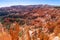 Panoramic view of amazing hoodoos sandstone formations in scenic Bryce Canyon National Parkon on a sunny day.