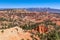 Panoramic view of amazing hoodoos sandstone formations in scenic Bryce Canyon National Parkon on a sunny day.
