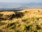 Panoramic view of Aso volcanic caldera from the mountain of central goup