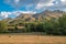 Panoramic view of asturias cows herd in the beautiful Cantabrian mountains