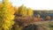 Panoramic view of autumn landscape with golden birch