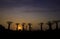 Panoramic view and  the avenue of the baobabs trees in Madagascar