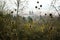 Panoramic view of Bamberg landscape with Cathedral Bamberger Dom , Upper Franconia, Bavaria, Germany. November 2014