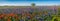 A Panoramic View of a Beautiful Field of Texas Wildflowers