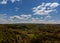 Panoramic view of beautiful landscape in the fresh green forest and a sunny day with blue sky and clouds in springtime