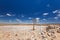 Panoramic view of a beautiful quiver tree Aloe dichotoma in Fish River Canyon Nature Park in Namibia, Africa.