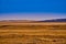 Panoramic view: beautiful spring landscape: spring huge great steppe wakes up from winter sleep - snow and ice just melted, sunset