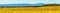 Panoramic view of the beautiful vineyards of Alsace in the fall. Bright yellow color prevails