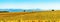 Panoramic view of the beautiful vineyards of Alsace in the fall. Bright yellow color prevails