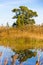 Panoramic view of a bird observatory, in the wetlands natural park La Marjal in Pego and Oliva