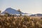 Panoramic view of a bird observatory, in the wetlands natural park La Marjal in Pego and Oliva, Spain