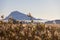 Panoramic view of a bird observatory, in the wetlands natural park La Marjal in Pego and Oliva, Spain