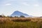 Panoramic view of a bird observatory, in the wetlands natural park La Marjal in Pego and Oliva, Spain.