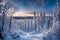 A panoramic view of the boreal forest in winter, with snow-laden branches forming an intricate lace against the twilight sky