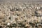 Panoramic view of the building density of Qom, Iran