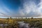 panoramic view of a butterfly migration, with countless butterflies in flight