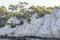 Panoramic view of the Calanque of Cassis