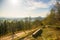 Panoramic view of the calvary way Rechberg to the hill Hohenstaufen