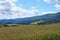 Panoramic view of the Carpathian mountains, green forests and flowering meadows