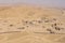 Panoramic view from the castle in the ancient city of Palmyra