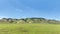 Panoramic view of central california hills after recent rains promoting green pastures