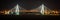 Panoramic view of the century bridge symbol of Haikou city illuminated at night in Haikou Hainan China