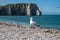 Panoramic view on chalk cliffs and Porte d`Aval arch in Etretat, Normandy, France. Tourists destination