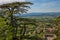 Panoramic view of the charming medieval village Bonnieux