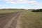 Panoramic view. Country road. Forests and fields. Green grass. Blue sky. Summer.