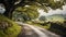 Panoramic view of a country road in the Yorkshire Dales, England