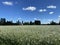 Panoramic view of the countryside, Pianura Padana, of Bologna in spring. Italy