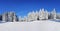 A panoramic view of the covered with frost trees in the snowdrifts. Magical winter forest. Natural landscape with beautiful sky.