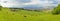 Panoramic view of cows eating grass with Bern city in background