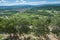 Panoramic view of the cultivated and green landscape of Provence