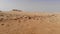 Panoramic view of the desert in Mauritania. Desert in Mauritania. Desert. View. 4k. 4k view. Bird`s eye view. Mauritania in 4k.