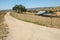 Panoramic view of a dirt road passing next to a ranch in California.