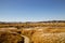 Panoramic view of dry reed field. Autumn of Gaetgol Eco Park in Siheung, Korea