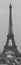 The panoramic view of the Eiffel Tower from the Trocadero. Black and white photography. France. Paris.