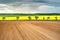 Panoramic view of empty and yellow rapeseed fields, separated by trees in storm. Brown, yellow and green fields in rain. Rainy