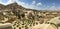 Panoramic view of the Fairy Chimneys in GÃ¶reme National Park. Cappadocia, Central Anatolia, Turkey.