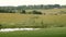 Panoramic View of field