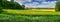 Panoramic view of field with dandelion and rapseed in springtime