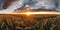 Panoramic view on field of golden ripe wheat on sunset. Generative AI