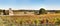 Panoramic view of a field of vines and the church of Cabanac - Lot - France