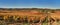 Panoramic view of a field of vines near Cahors - Lot - France