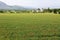 Panoramic view on fields close to Alcudia, in Mallorca