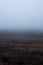 Panoramic view of a foggy swamp field in autumn