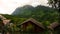 panoramic view of forest and high mountains