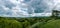 Panoramic view on the forest from the top of the hill