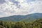 Panoramic view of the Foret des Maures